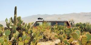 Arizona