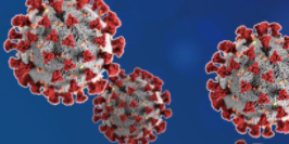 coronavirus