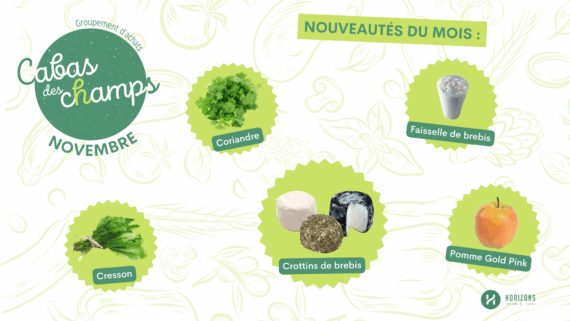 Couv – Nov – Cabas