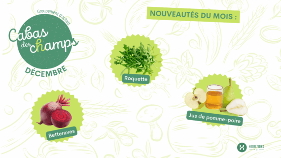 Couv – Dec – Cabas