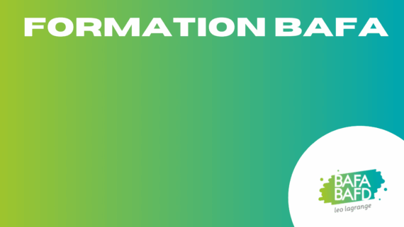 formation bafa-bafd
